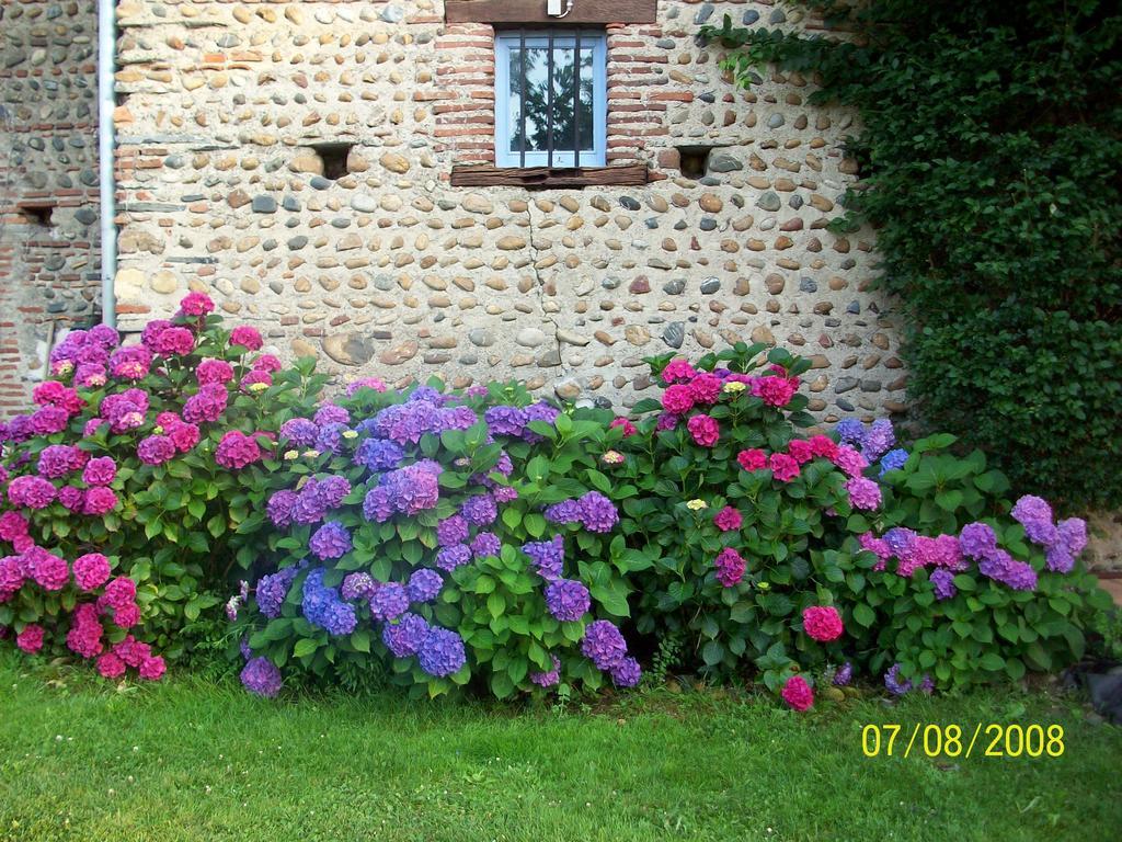 La Maison D'Anais Vic-en-Bigorre Exterior foto